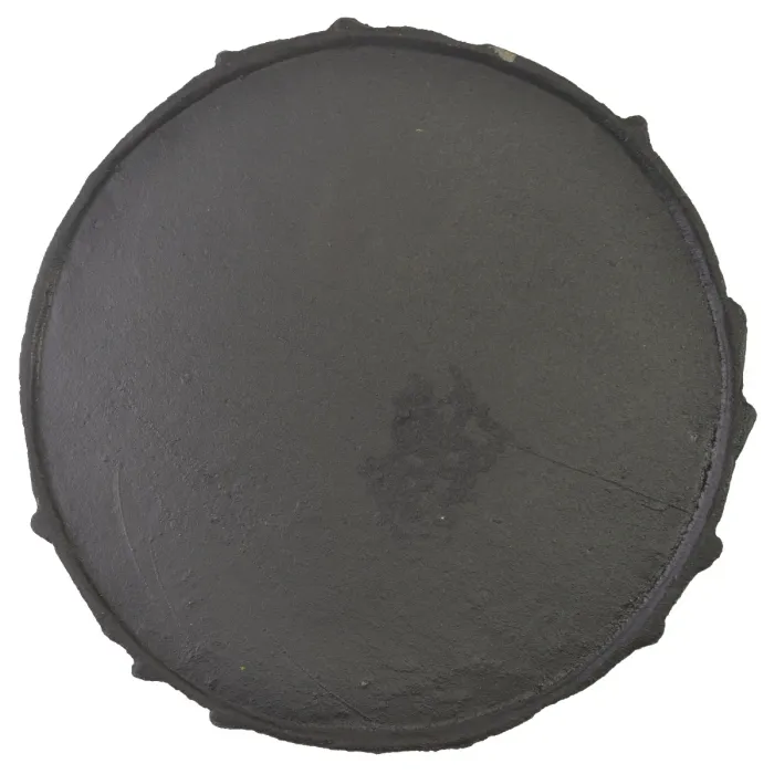 Decorative Cast Iron Yard & Garden Stepping Stone - Welcome - Dragonfly