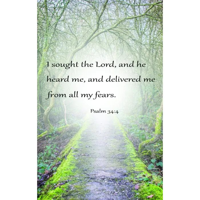 Flag Emotes - Double Sided Garden Flag - Psalm 34:4 I Sought The Lord