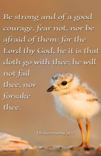 Flag Emotes - Double Sided Garden Flag - Deuteronomy 31:6 Be Strong