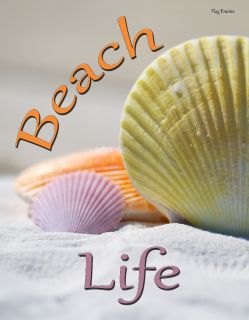 Flag Emotes - Double Sided Garden Flag - Beach Life Multi Colored Shells