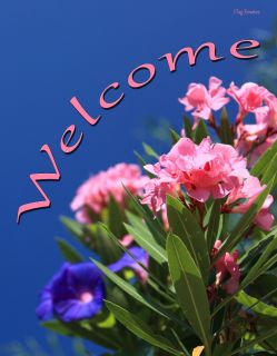 Flag Emotes - Double Sided Garden Flag - Pink Flowers Welcome