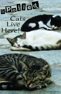 Flag Emotes - Double Sided Garden Flag - Spoiled Cats Live Here